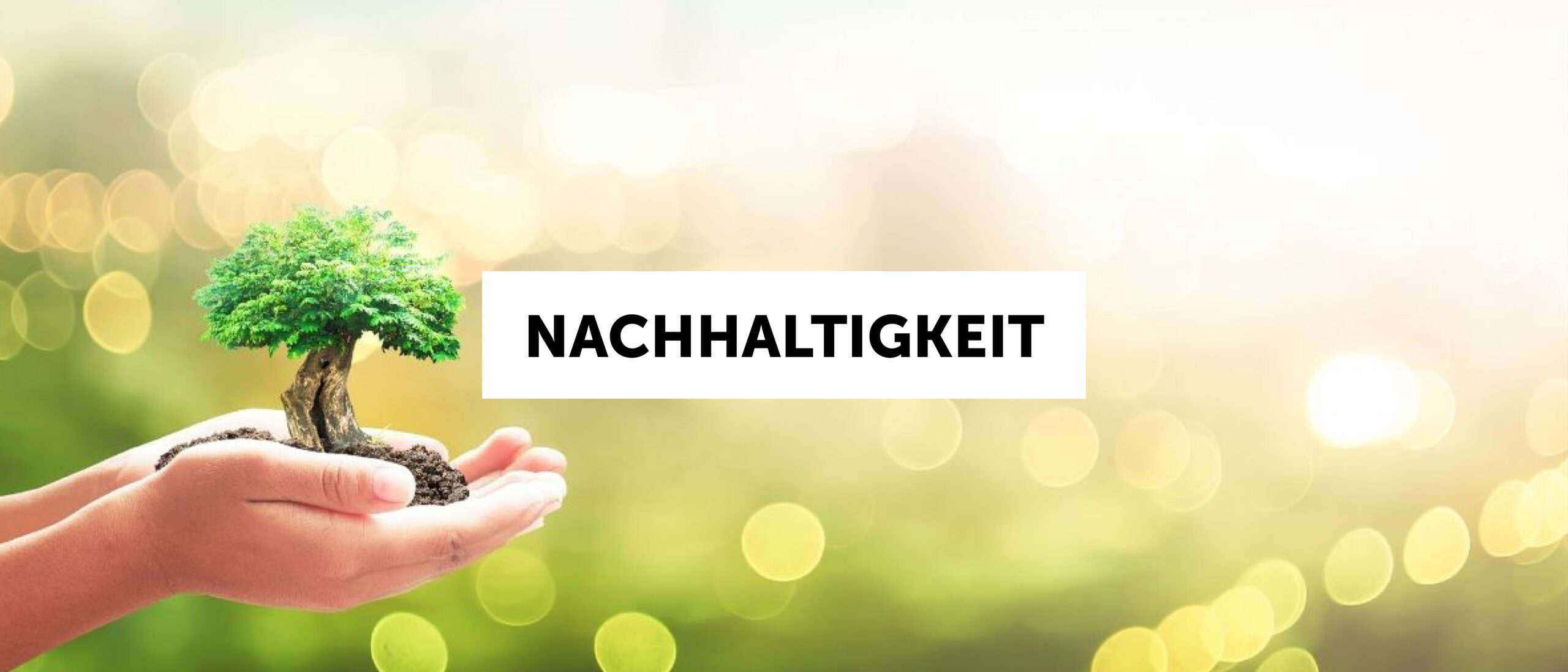 Nachhaltigkeit-1